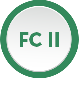 FC II icon 1