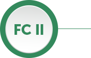 FC II icon 2