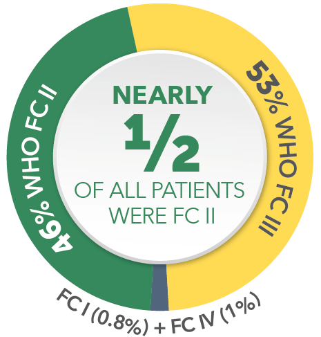 Nearly 1/2 of all patients were FC II pie chart